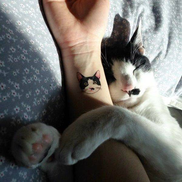 Fashion Tattoo de gato