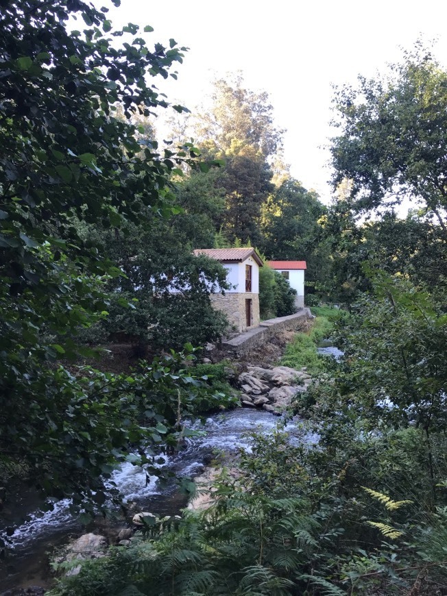 Lugar Parque Temático Molinológico