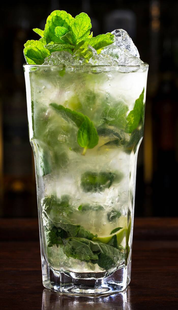 Moda Mojito