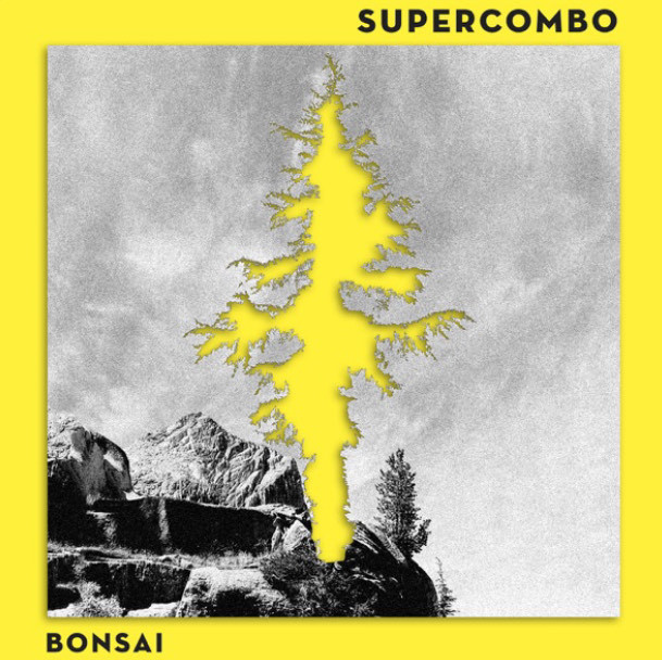 Bonsai - Single