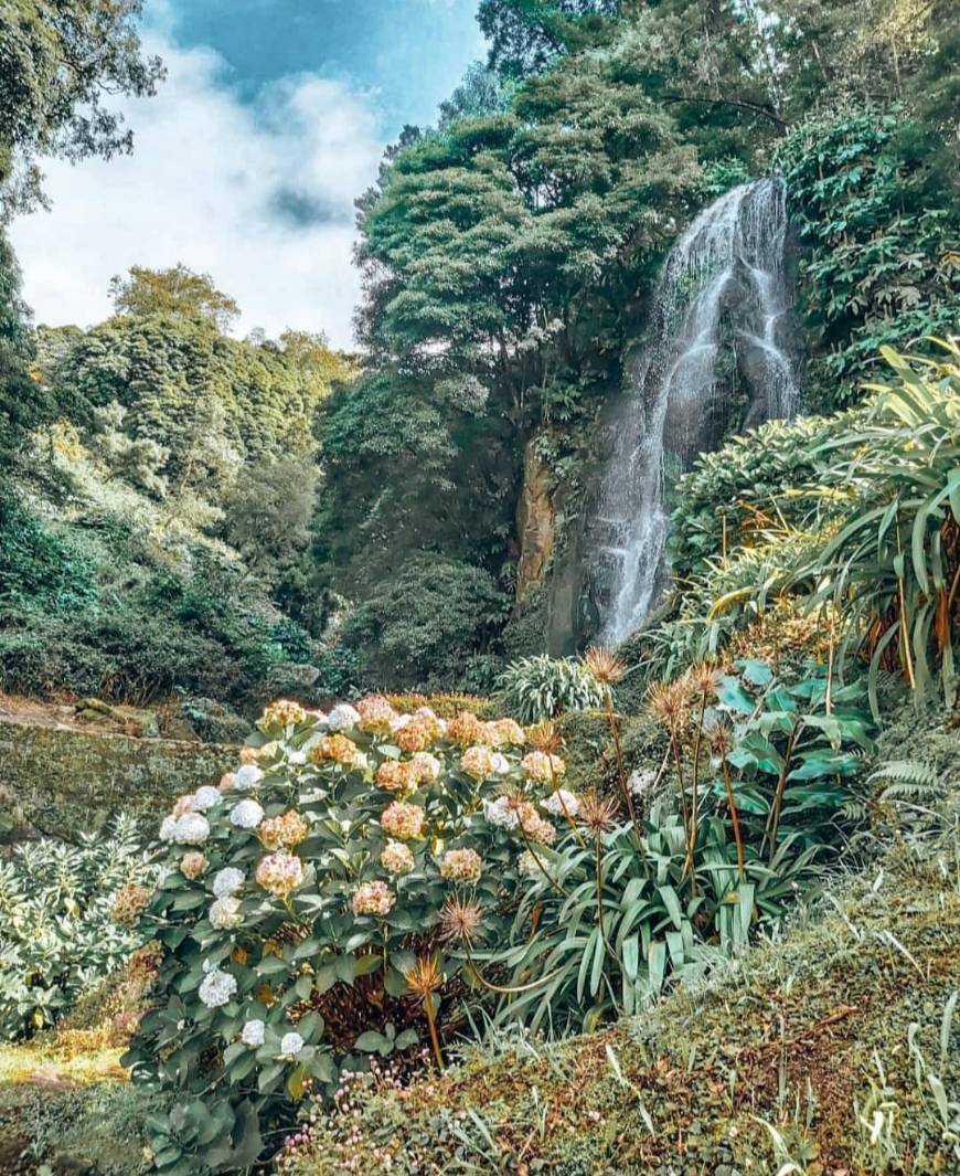 Lugar Parque Natural da Ribeira dos Caldeirões