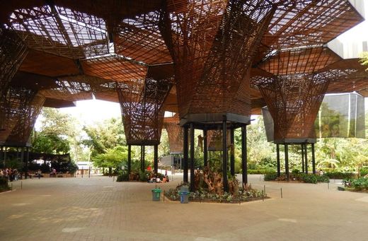 Jardin Botánico de Medellín