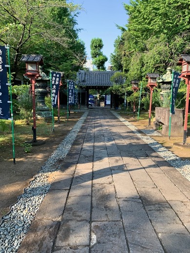 Parque Yoyogi