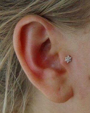 Tragus