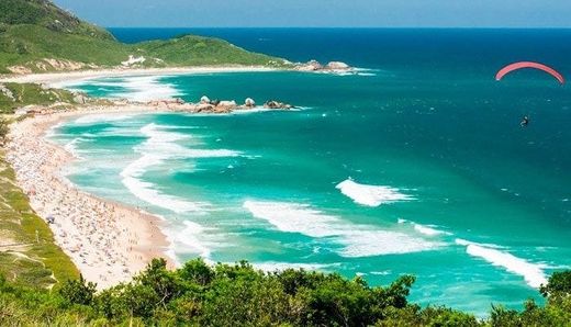 Praia Mole - Florianópolis 