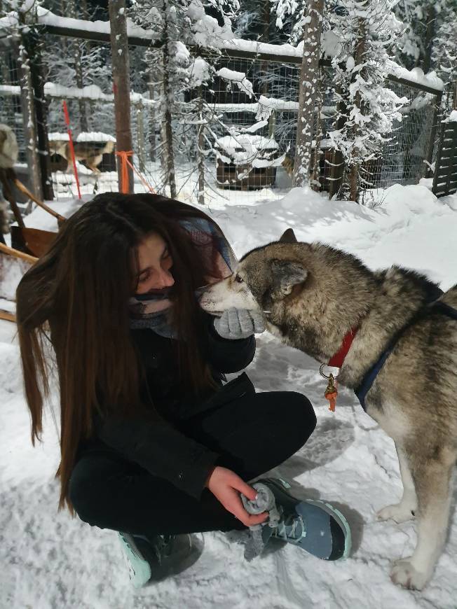 Lugar Arctic Husky Farm