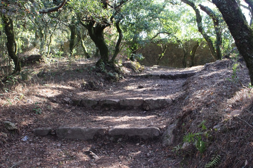 Places Serra do Bussaco