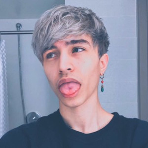 Fashion Diegosaurs - Twitch