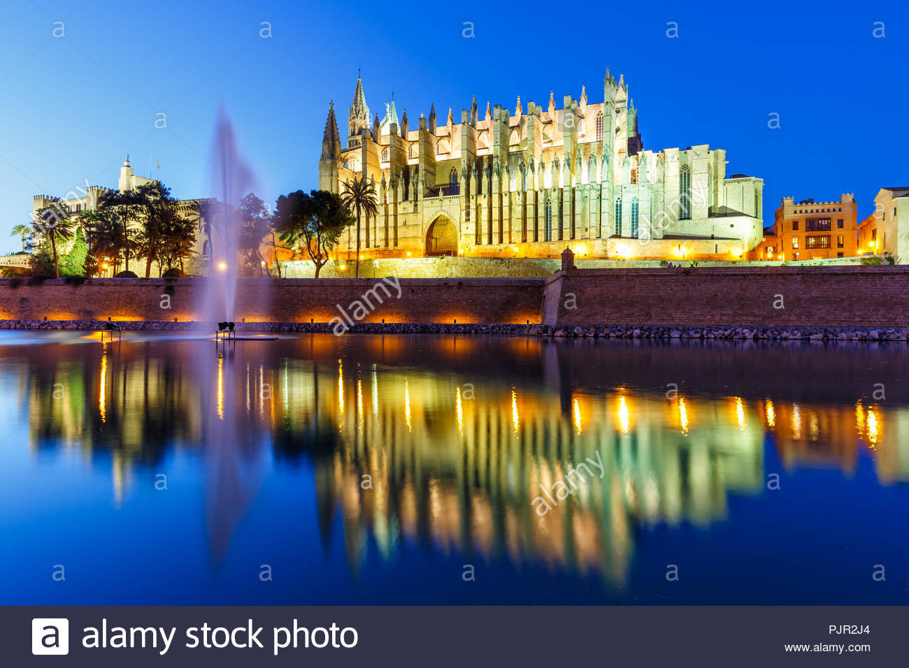 Lugar Catedral-Basílica de Santa María de Mallorca