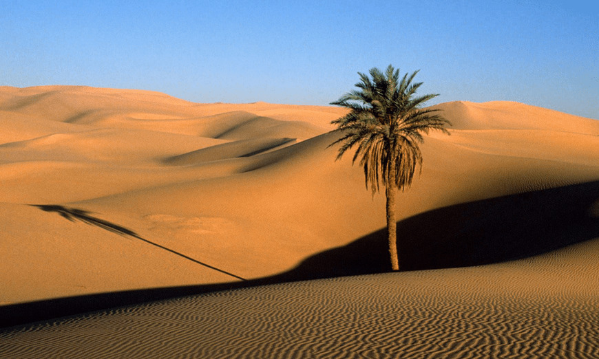 Lugar Sahara Desert