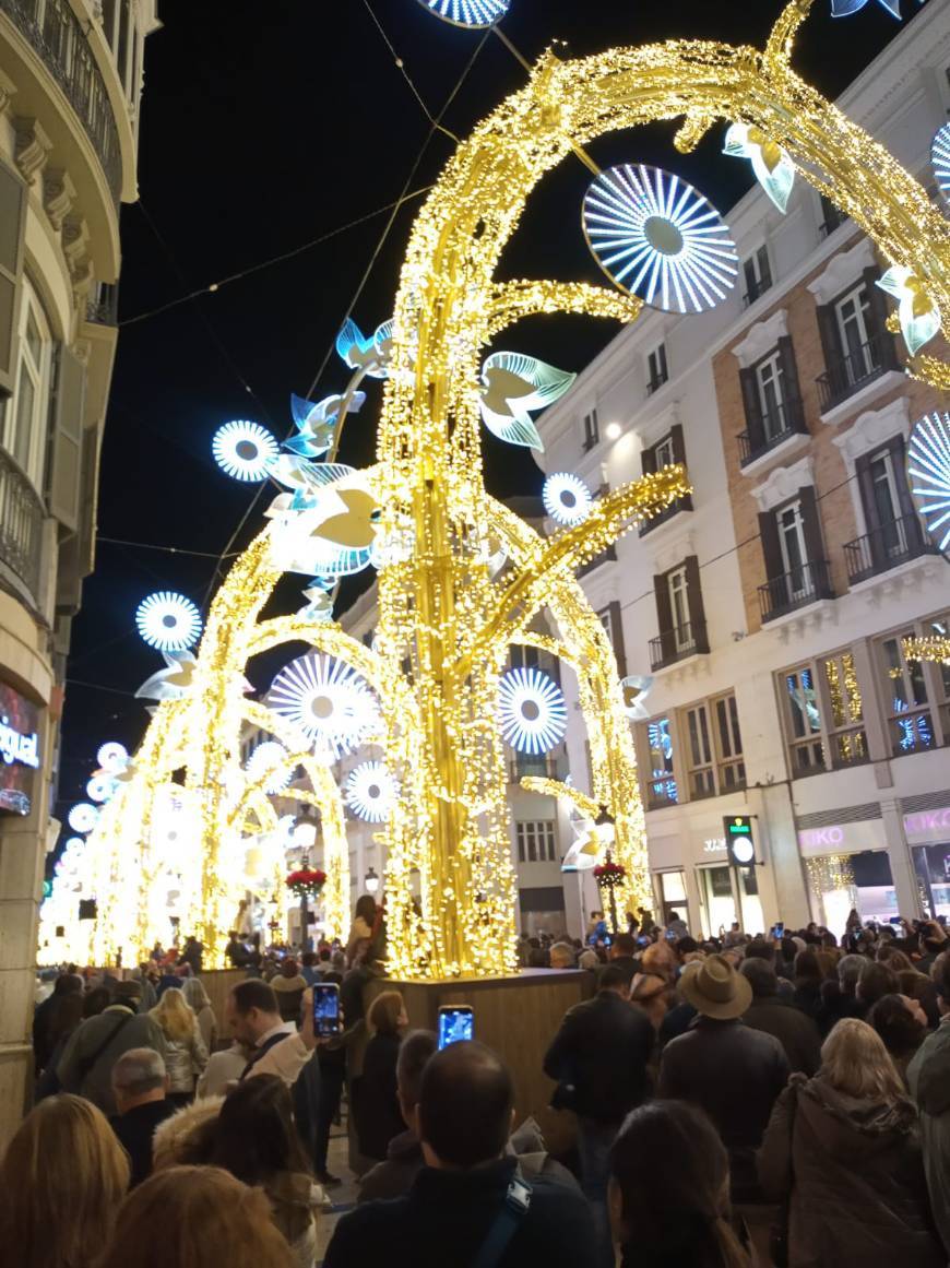 Place Calle Larios