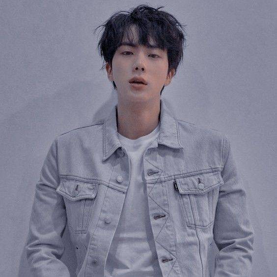 Moda Kim SeokJin♥️ icon