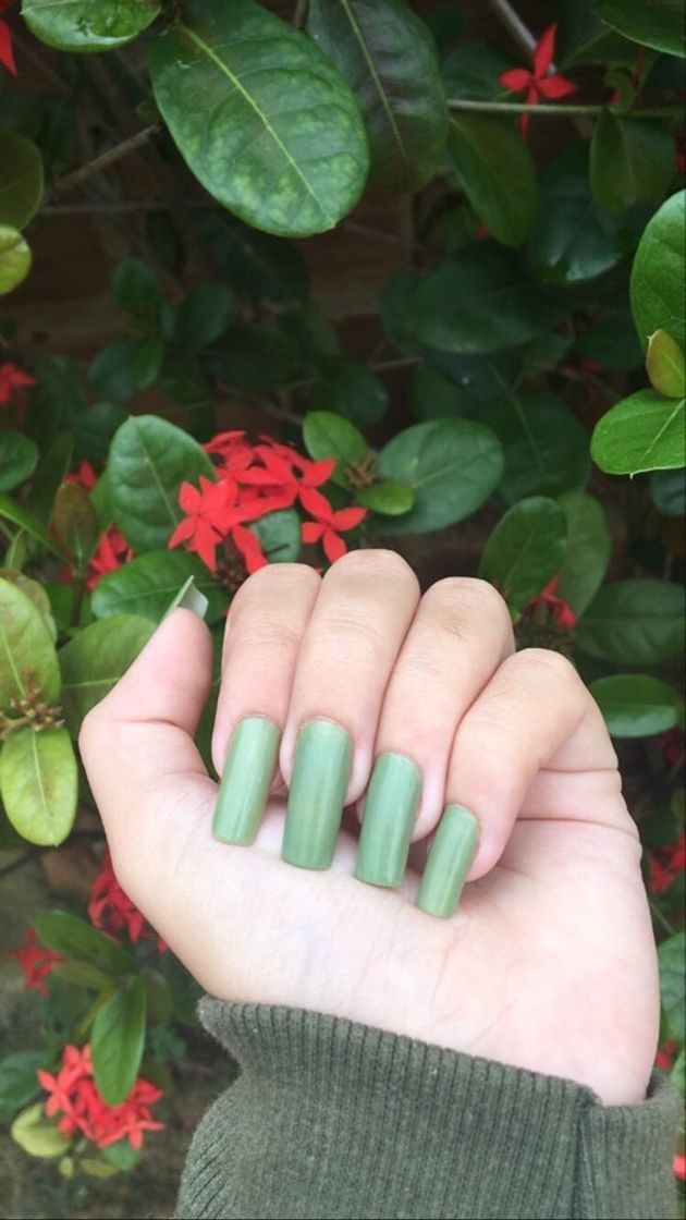 Moda ESMALTE VERDE MUSGO/UNHA NATURAL✨