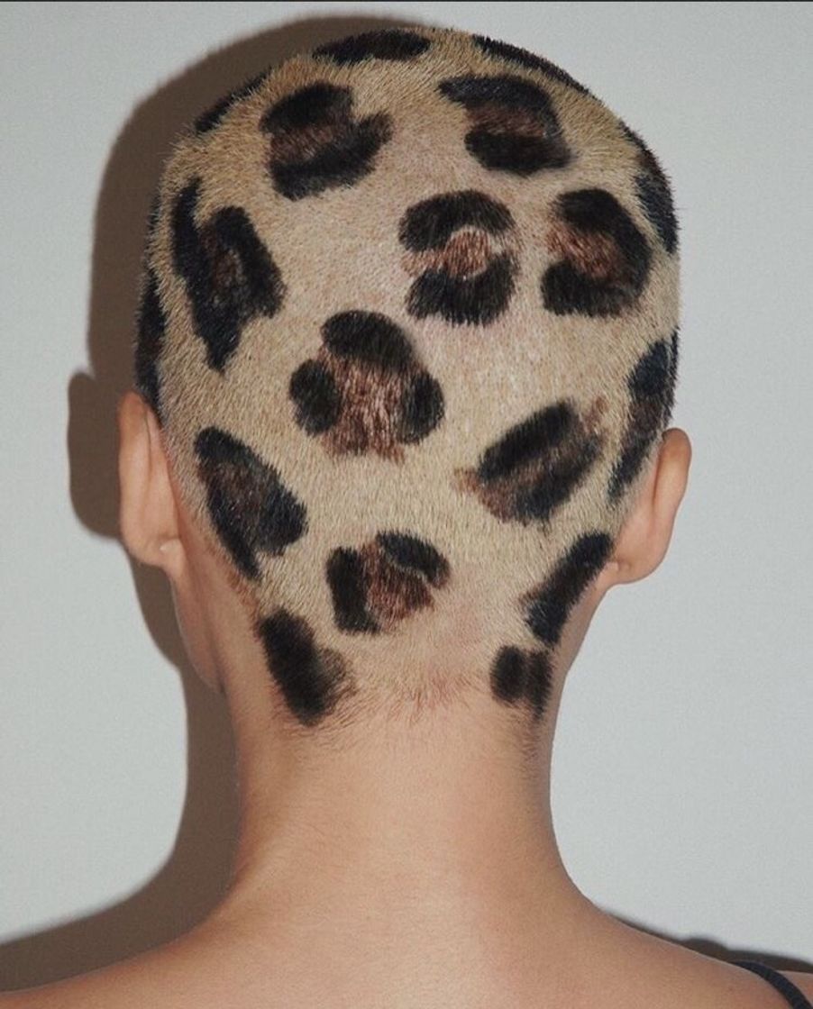 Moda cheetah print