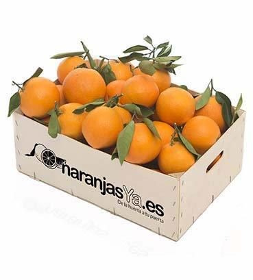 Naranjas de mesa de Valencia 10kg