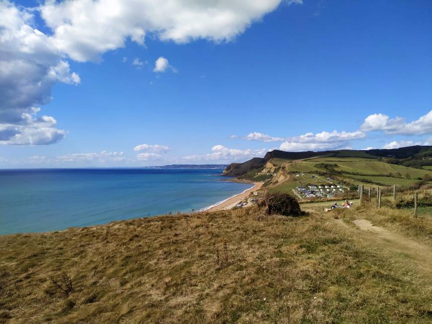 Place Jurassic Coast
