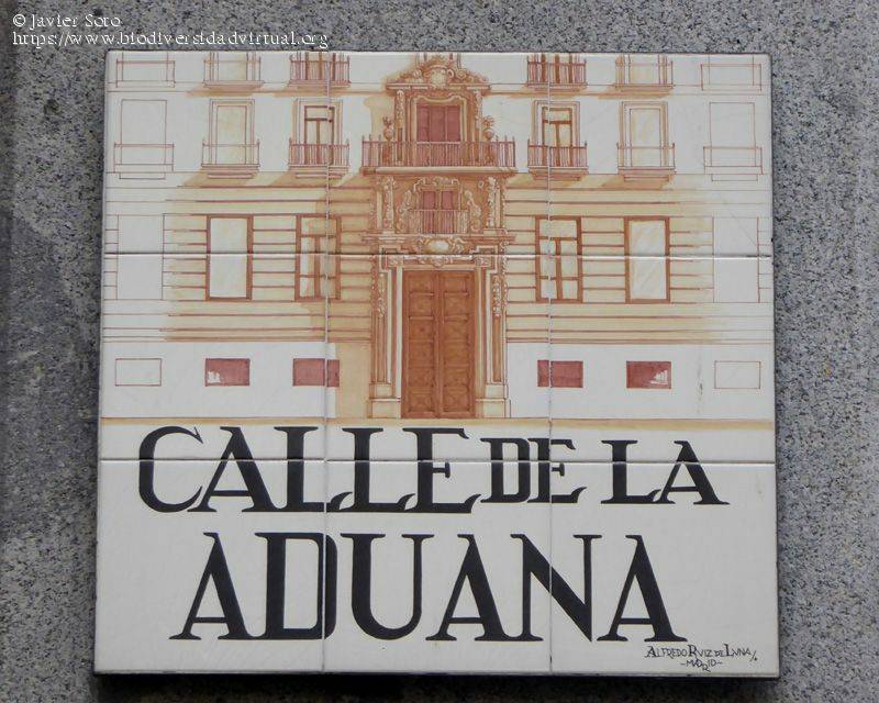 Restaurants Calle de la Aduana, 22