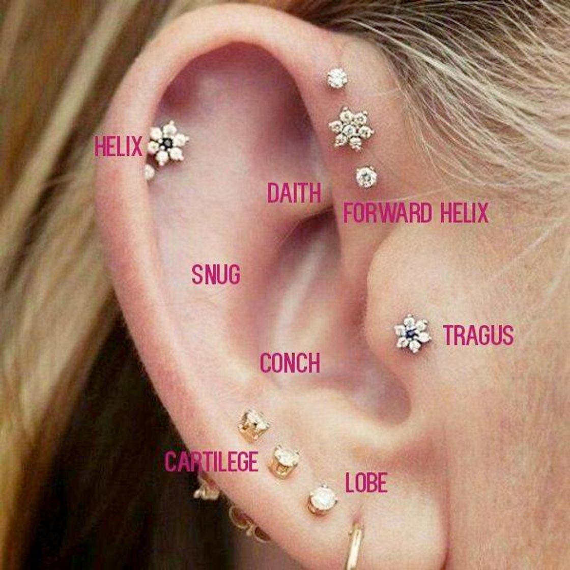 Moda Nome dos piercings 