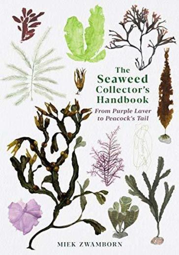 The Seaweed Collector's Handbook: From Purple Laver to Peacock’s Tail