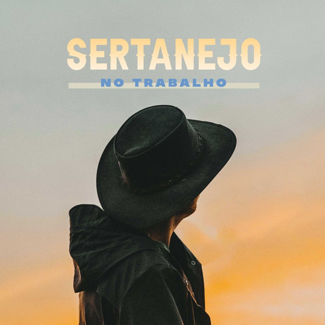 Canción Evidências - Ao Vivo