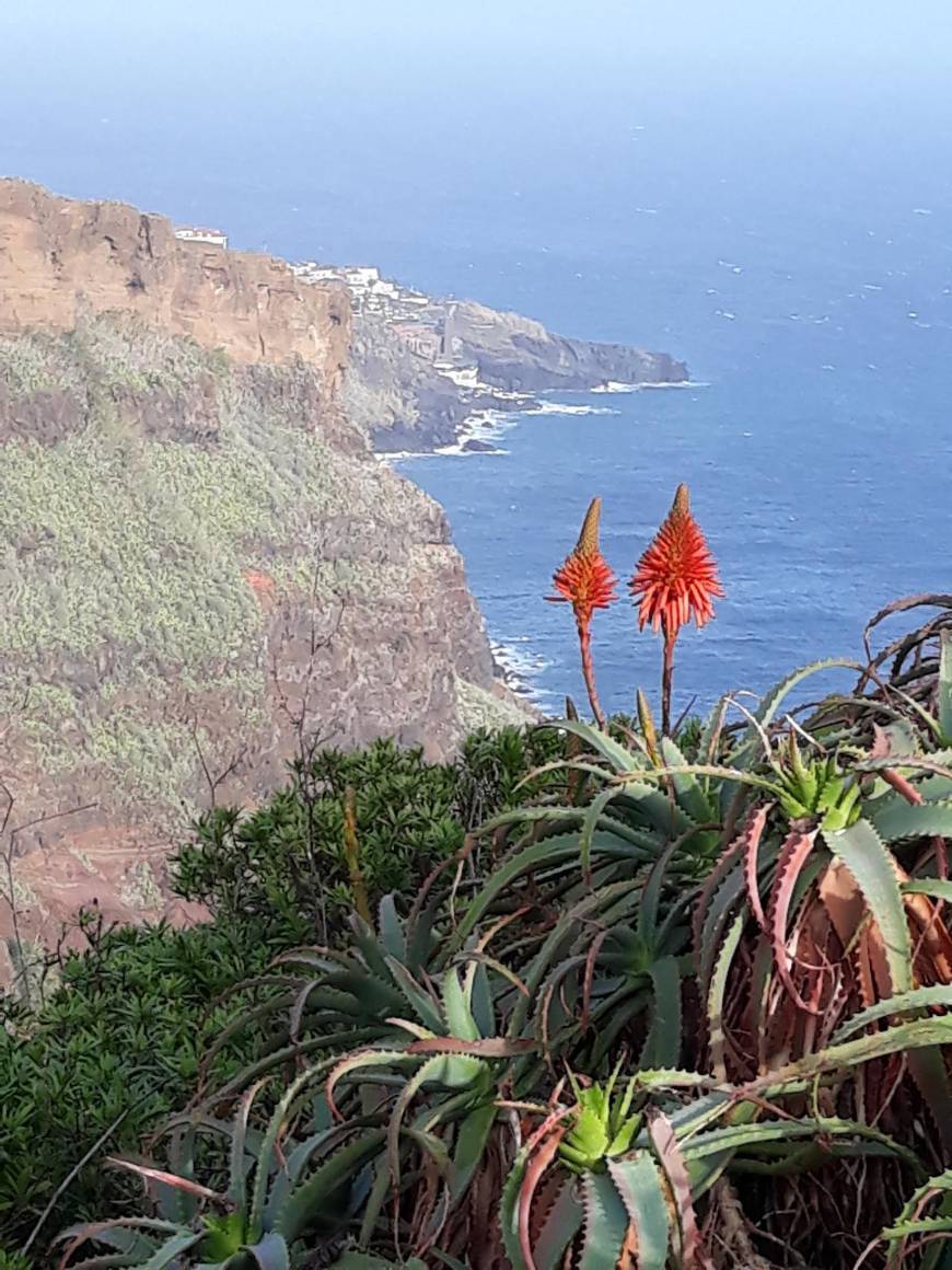 Place Madeira