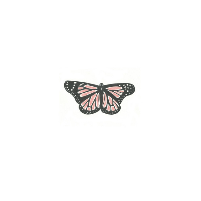 Canción Butterfly