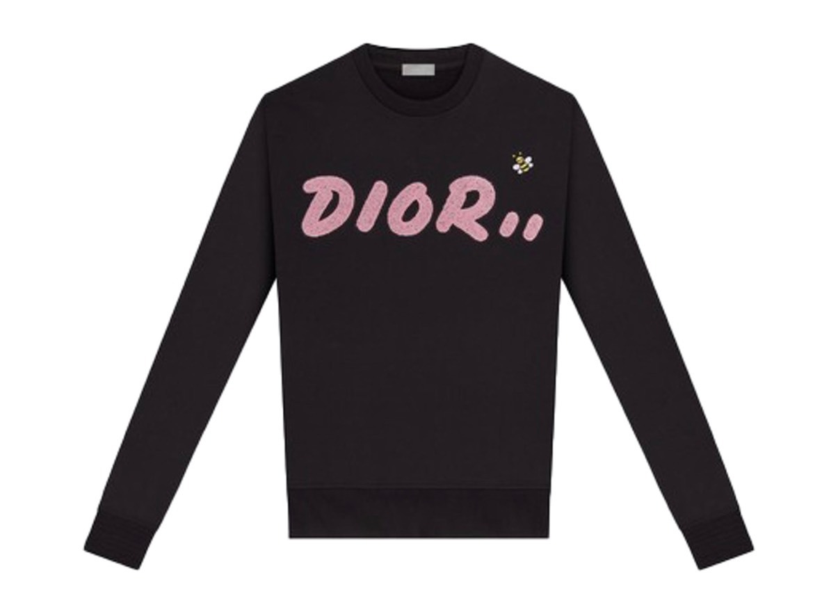 Fashion KAWS x Dior