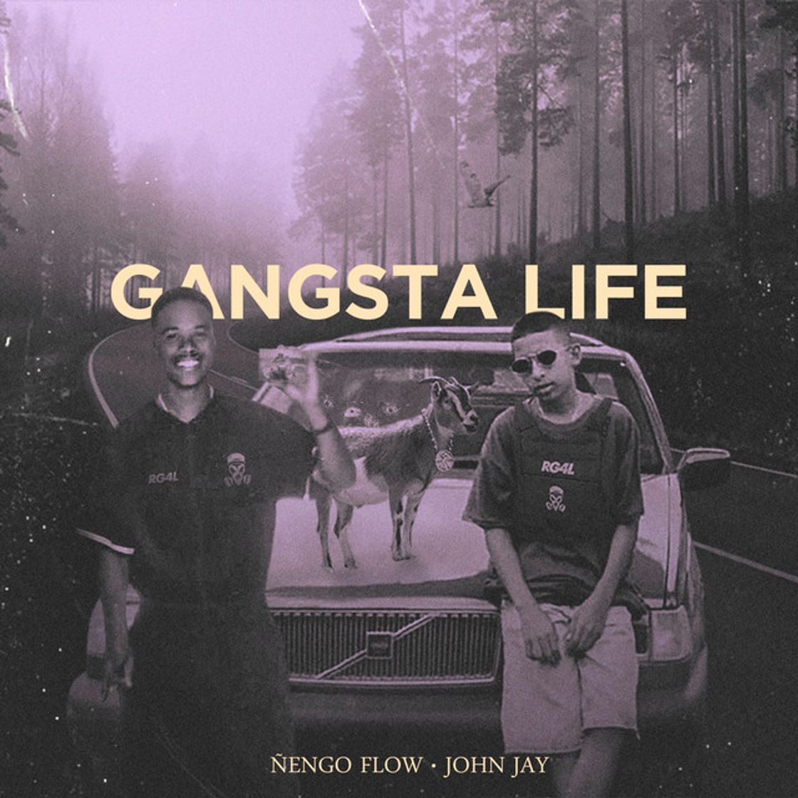 Music Gangsta Life