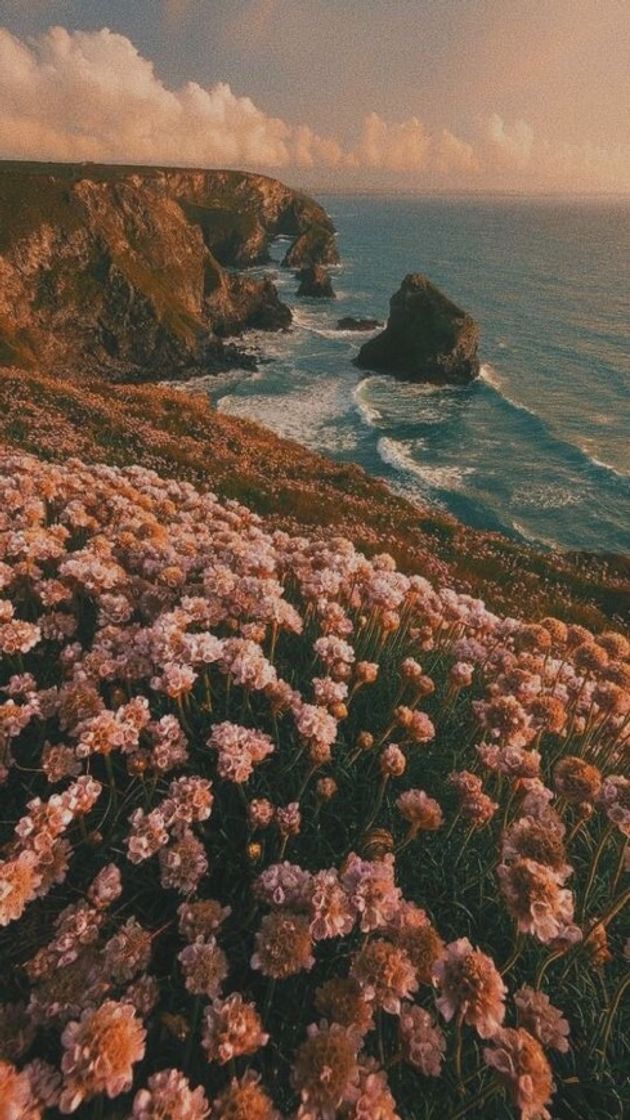 Moda Lockscreen para deixar seu celular com seu gosto ❤️🥰