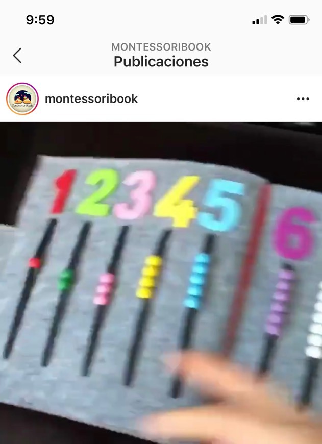 Social Montessori book