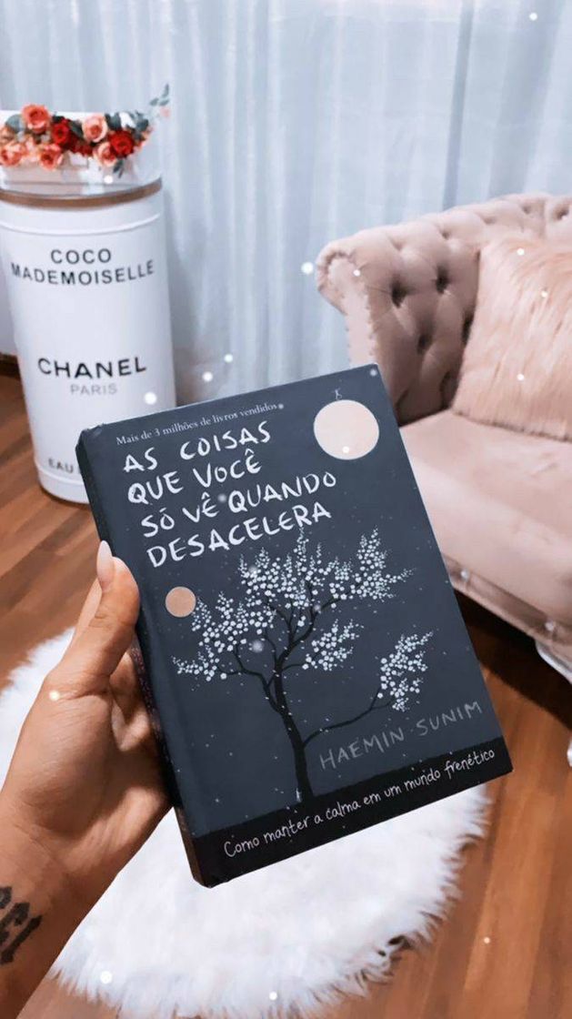 Book As Coisas que Você Só Vê Quando Desacelera