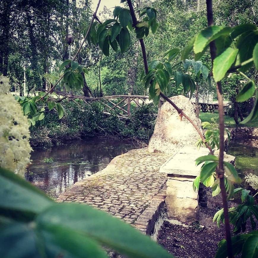 Lugar Parque da Fonte da Pedra