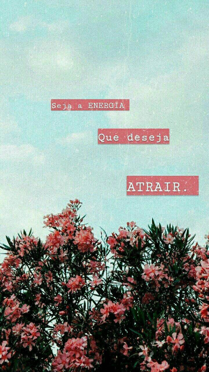 Motivação 0.3 😻