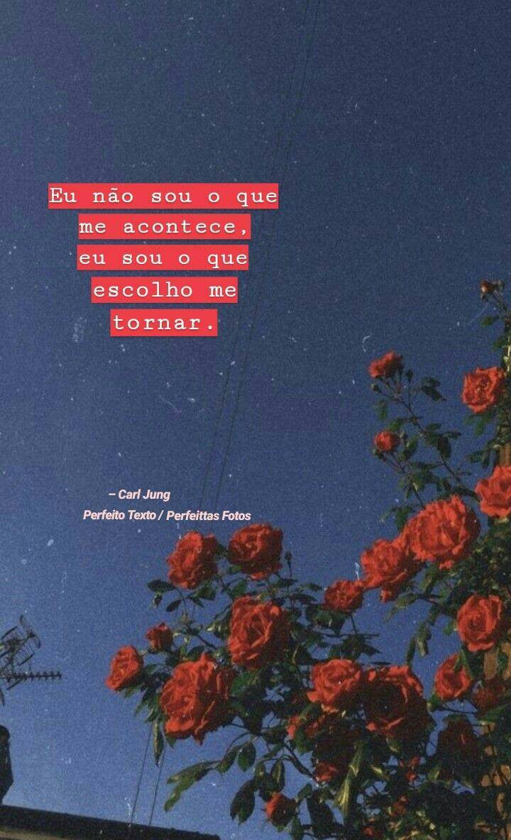Motivação 0.9 😻