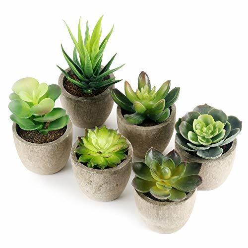 Social GoMaihe Plantas Suculentas Artificiales