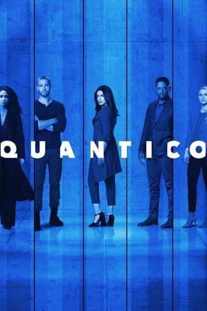 Quantico