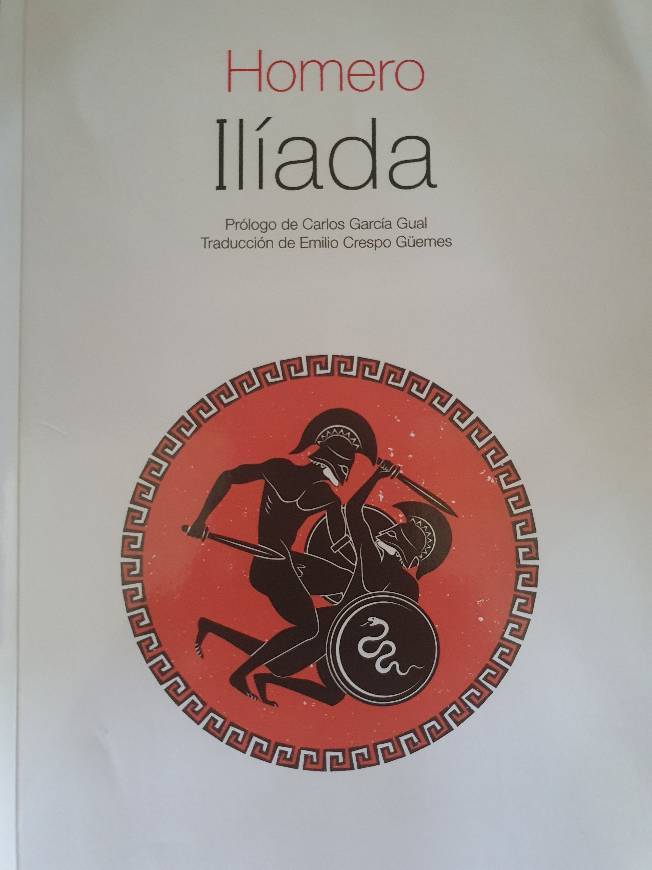 Libro Ilíada