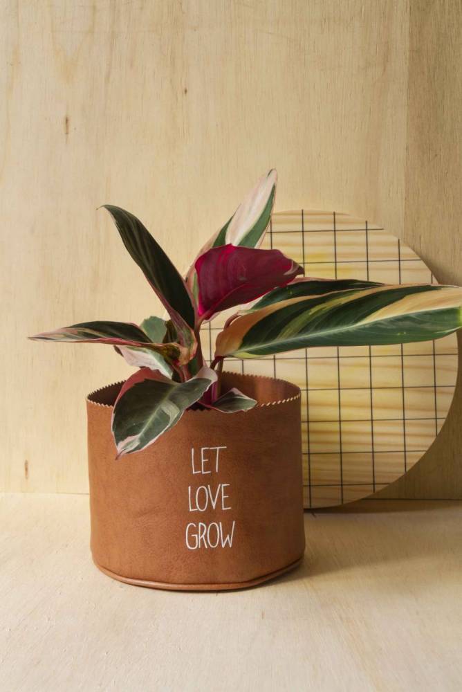 Product Vaso let Love grow