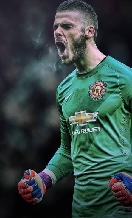 Social David de Gea
