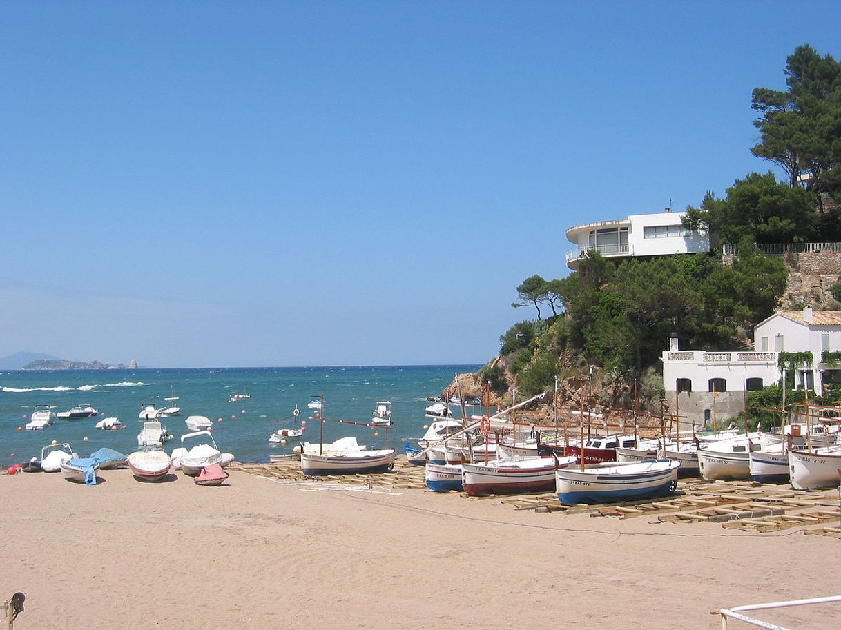 Lugar Playa De Sa Riera