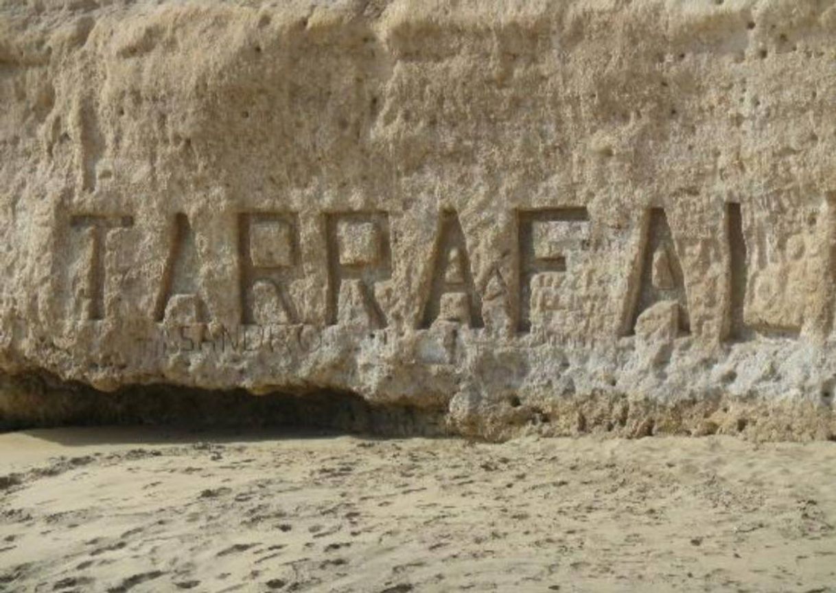 Lugar https://images.app.goo.gl/nL1fiaCAG4AwS7NW8