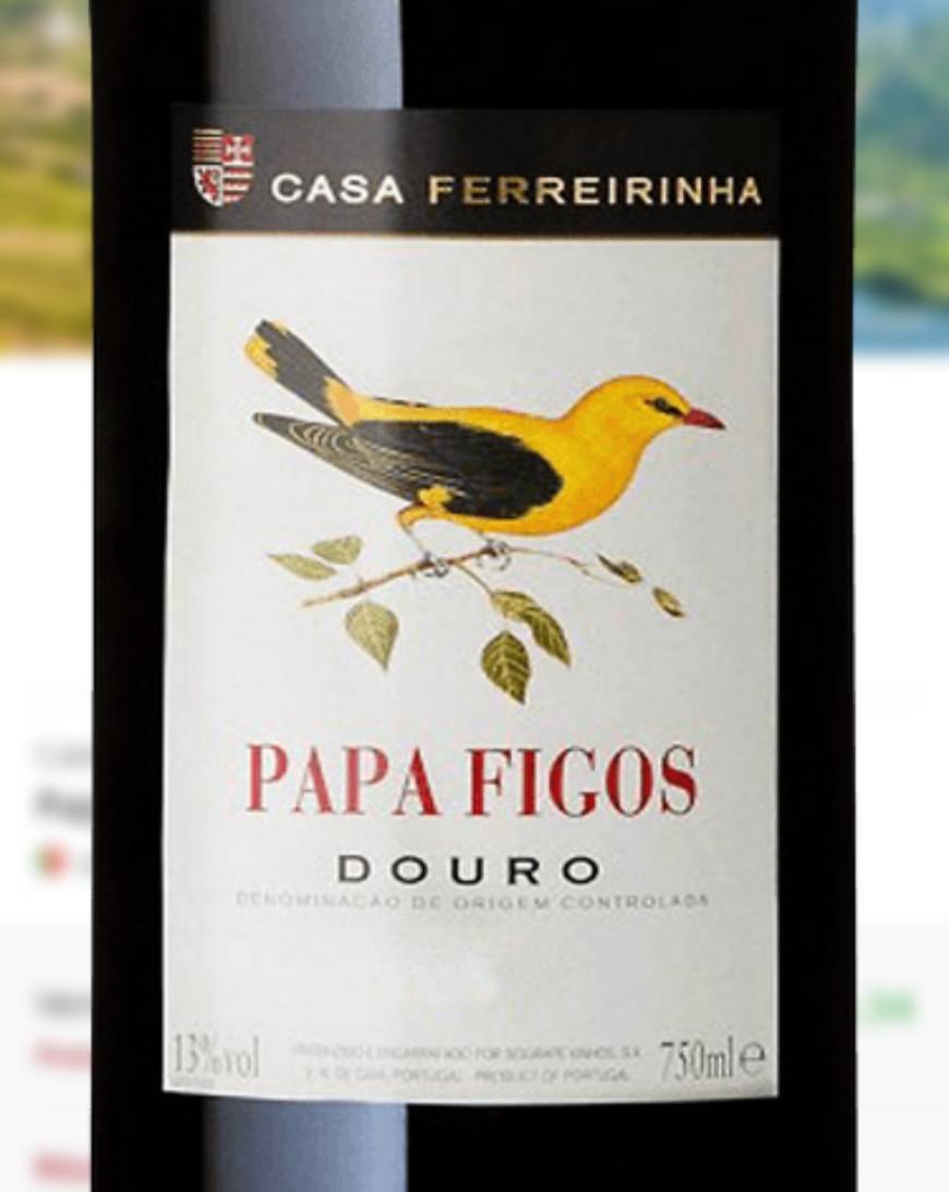 Social Papa Figos