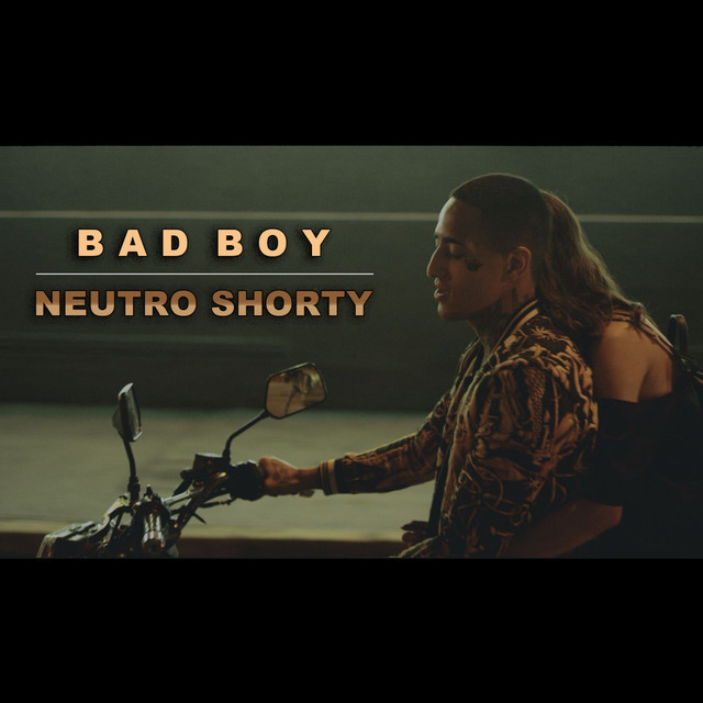 Canción Bad Boy