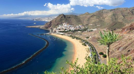 Tenerife- Canary Island
