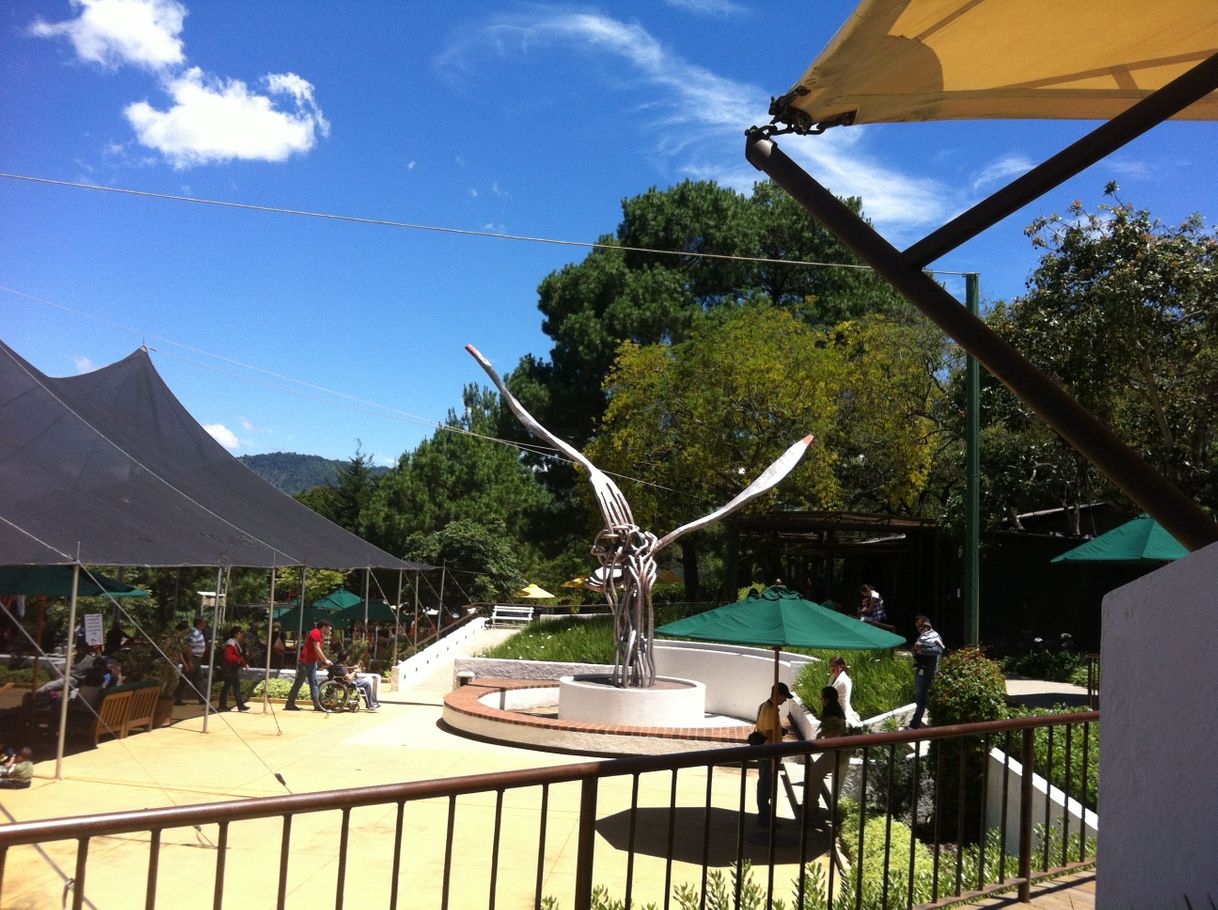 Restaurantes El Tenedor del Cerro