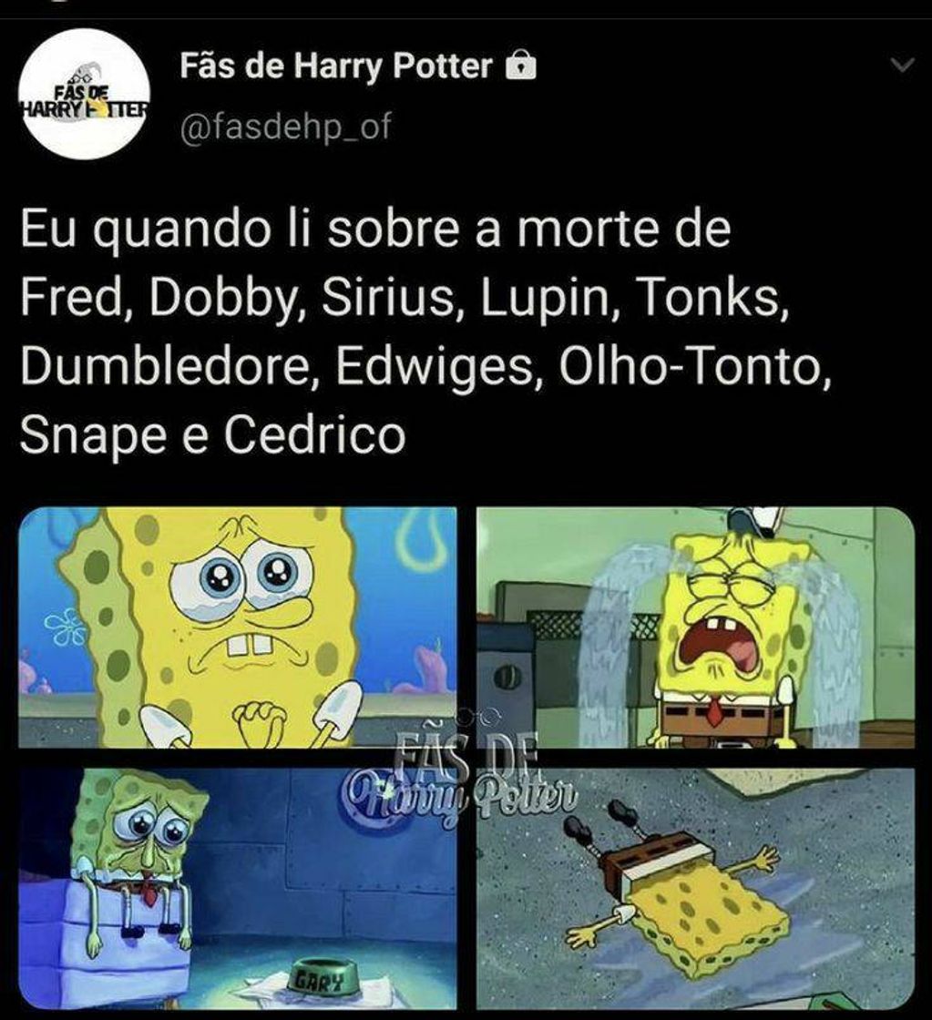 Social 🐍🦁🦨🦅