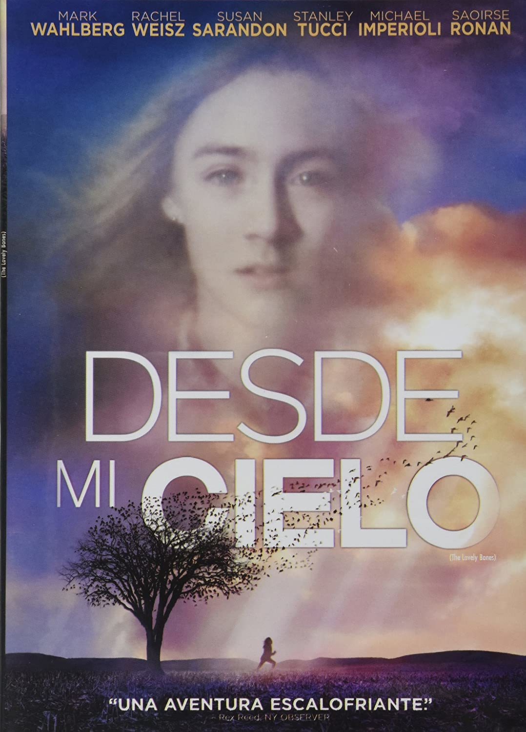 Libro Desde mi cielo 
