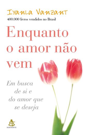 Livro - Enquanto o amor não vem 