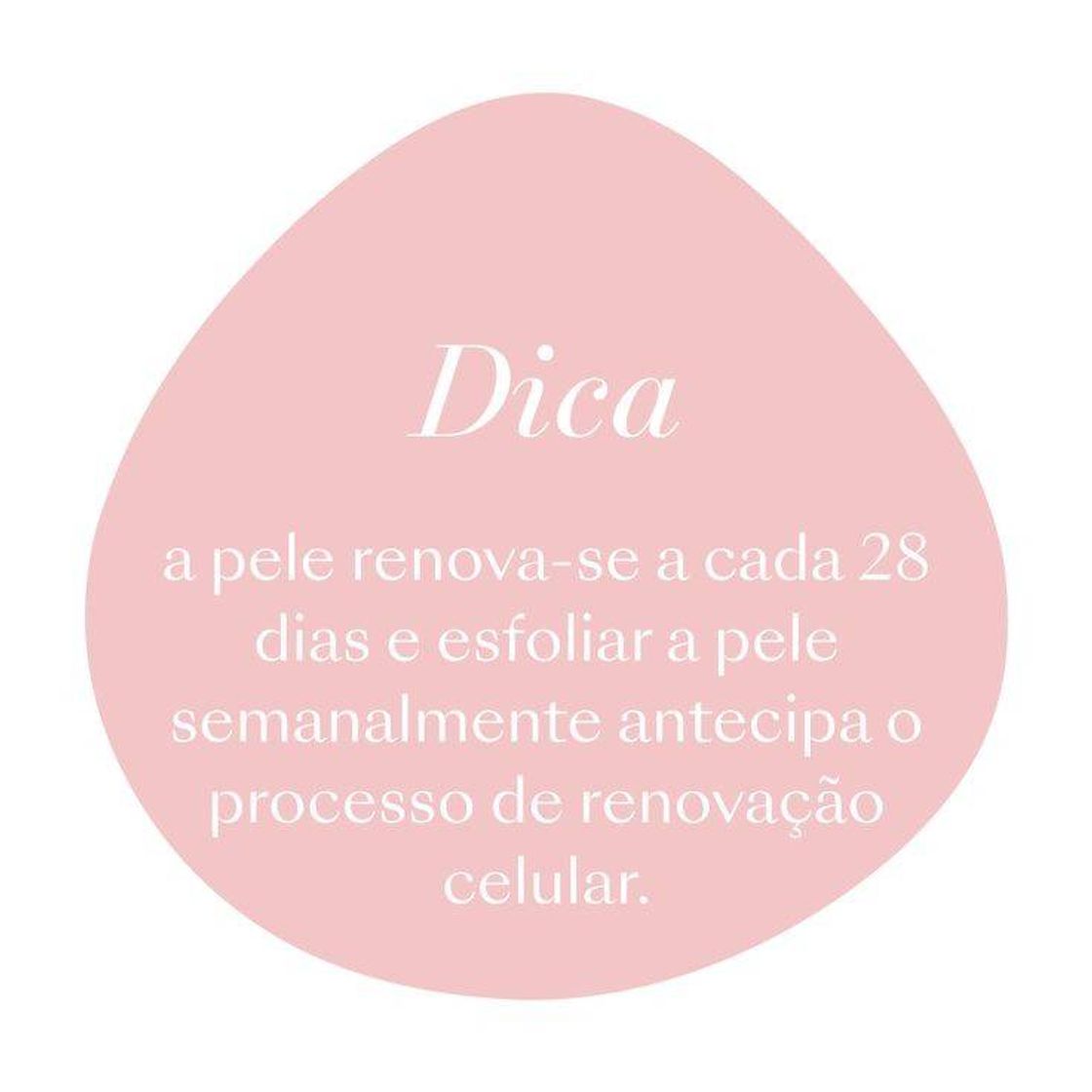 Moda Dica