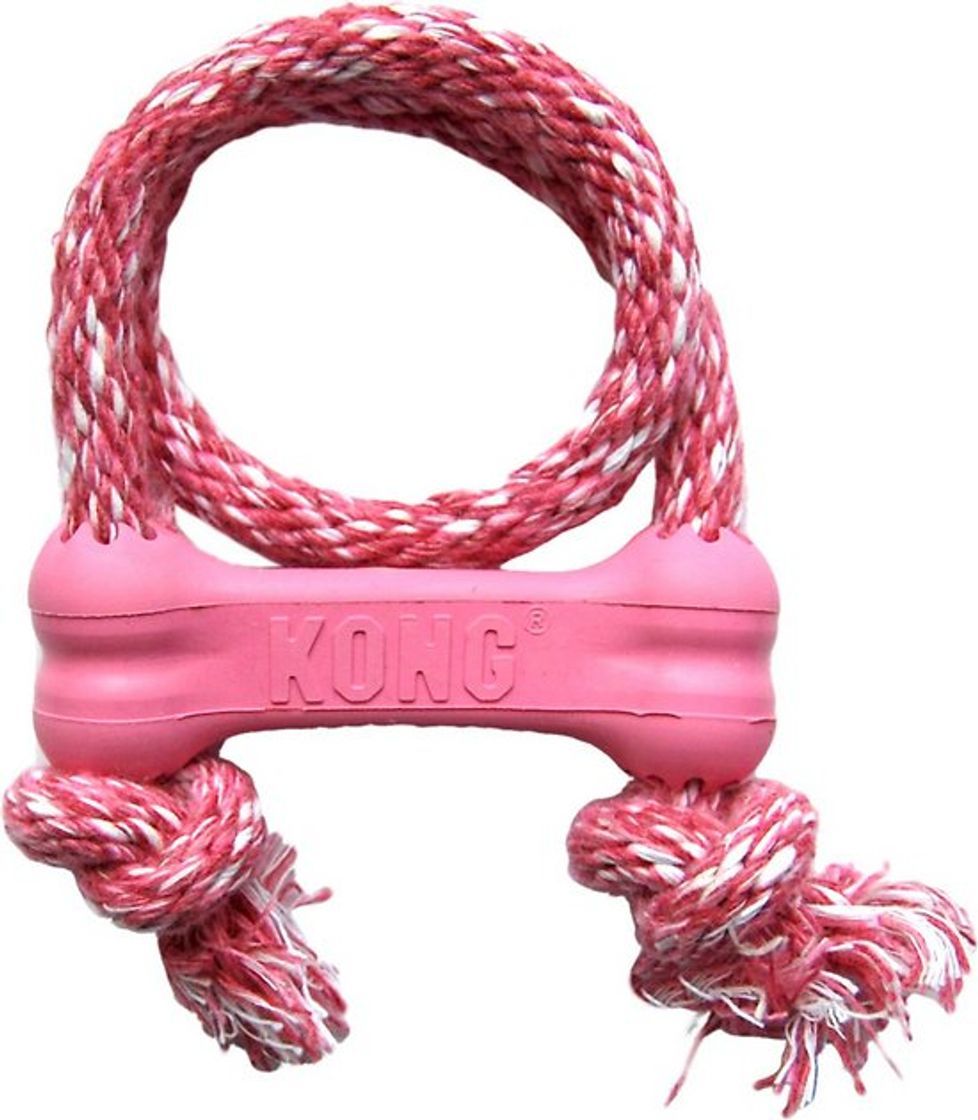 Moda KONG Puppy Goodie Bone with Rope Dog Toy, Color Varies ...